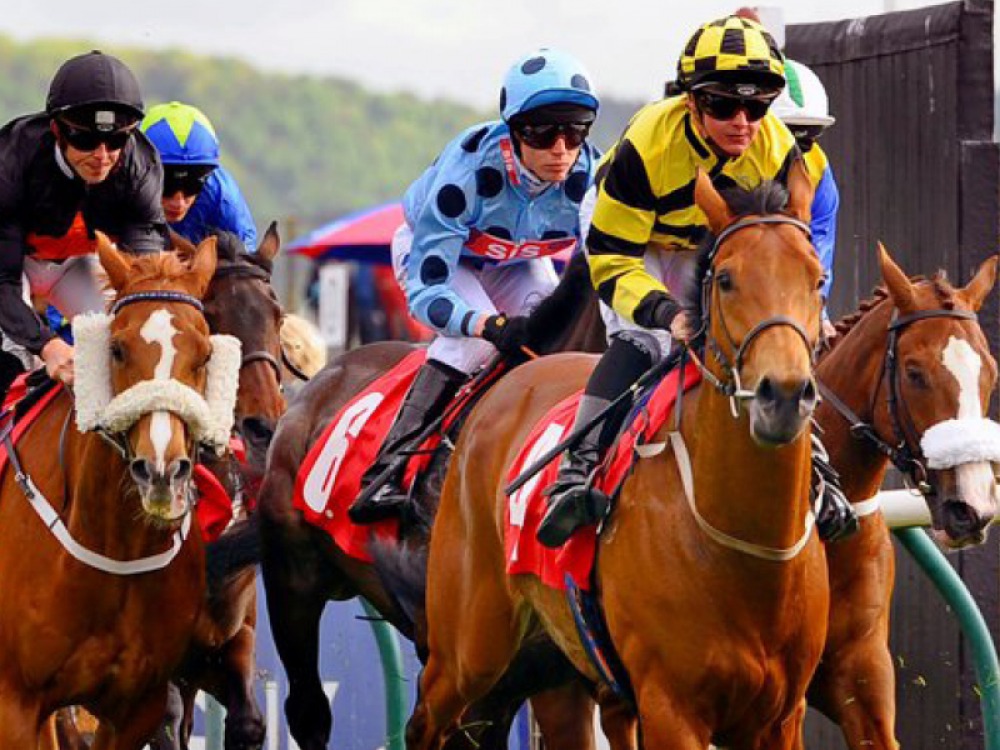 Cricket, Football, Horse Racing and Rubgy Union Events in the North